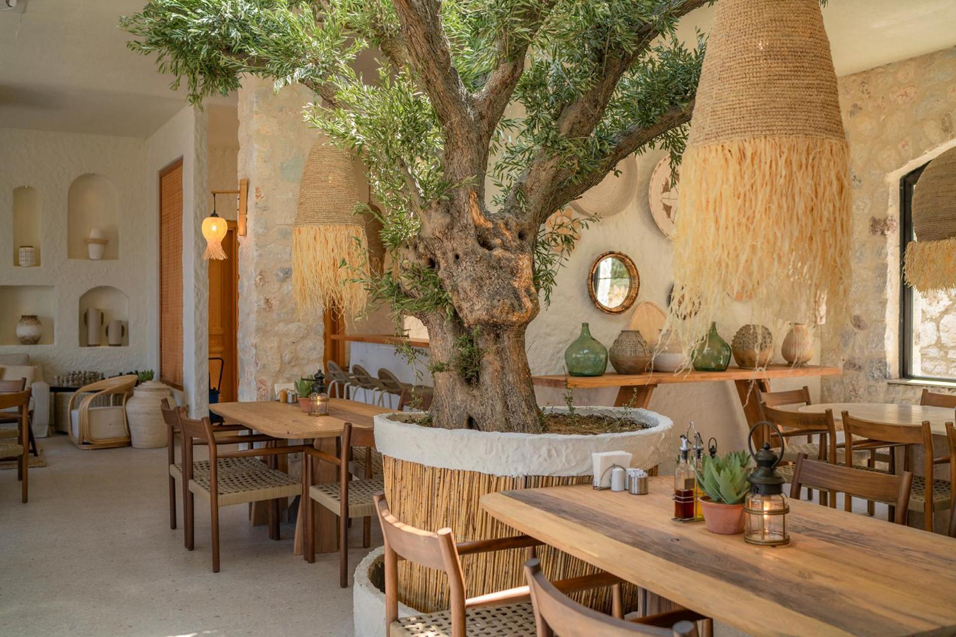 Alya Villa Butik Hotel 图兰克 外观 照片